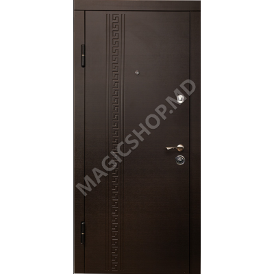 Usa exterior DT 2E (2050x860x70mm)
